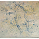 image21